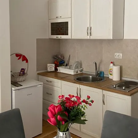 Apartment Centar & Free Parking Vrnjacka Banja