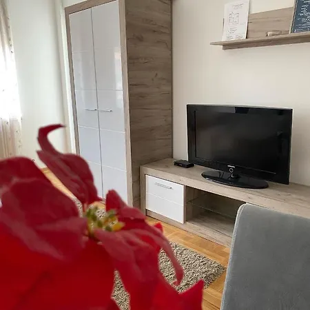 Centar & Free Parking Vrnjačka Banja