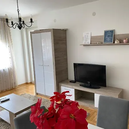 Apartment Centar & Free Parking Vrnjacka Banja