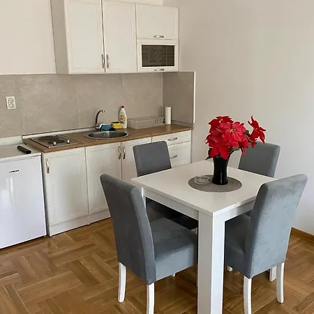 Centar & Free Parking Apartment *