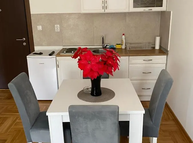 Centar & Free Parking 아파트