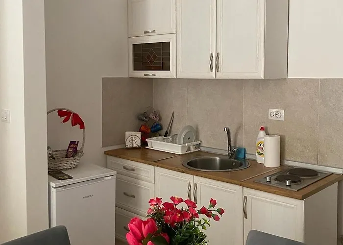 Centar & Free Parking *