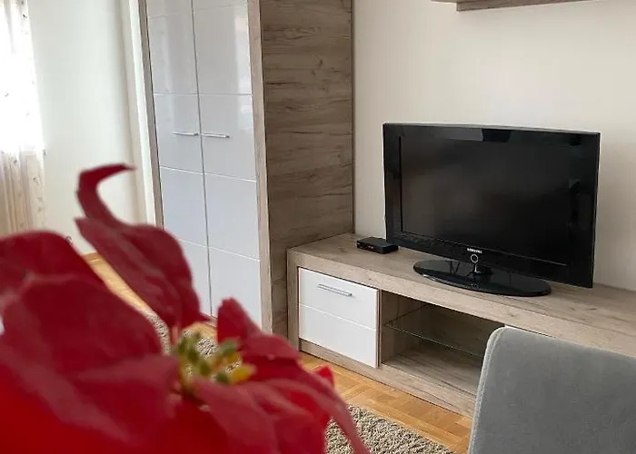 Centar & Free Parking Vrnjačka Banja