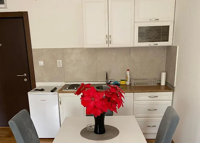 Centar & Free Parking * Vrnjačka Banja