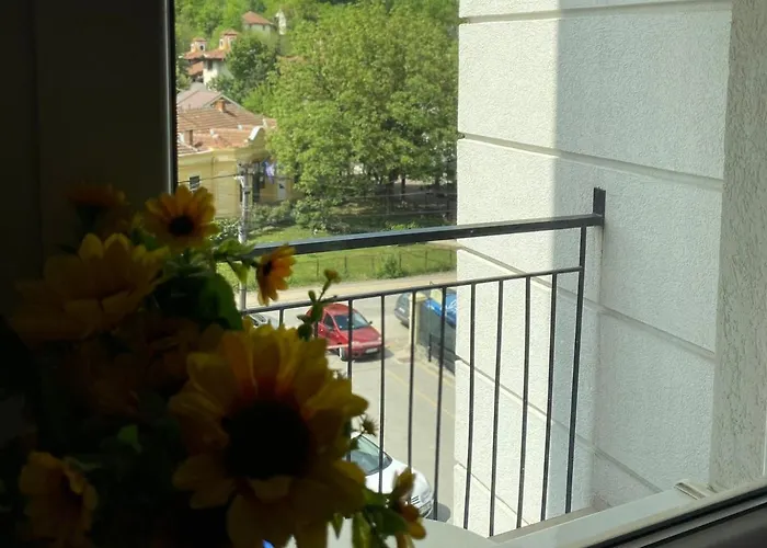 Centar & Free Parking Daire *