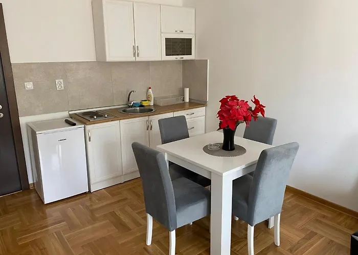 Centar & Free Parking 아파트 Vrnjačka Banja