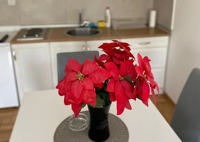 Centar & Free Parking Daire Vrnjačka Banja